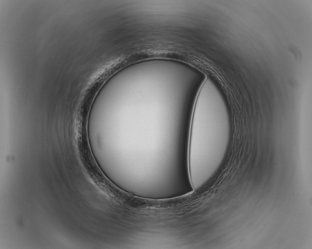 X0000113560732200909181020