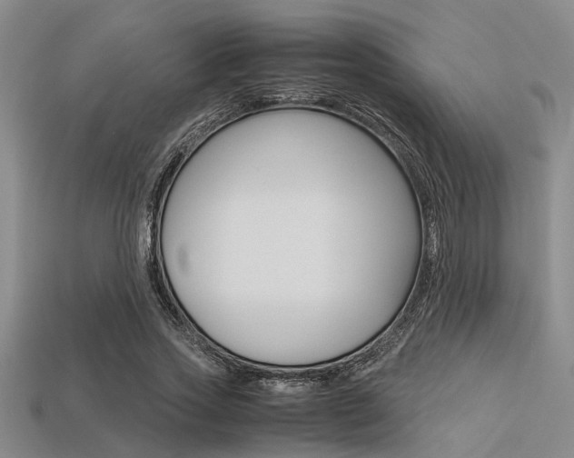 X0000113560733200909181020