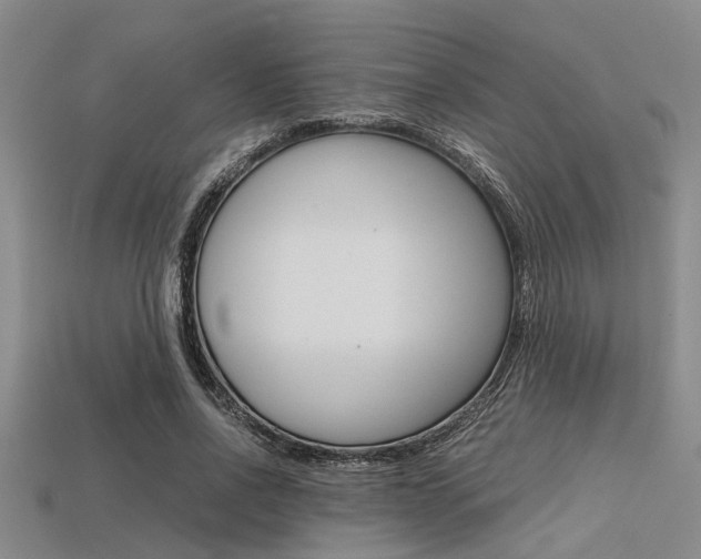 X0000113560734200909181020