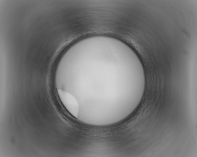 X0000113560736200909181020