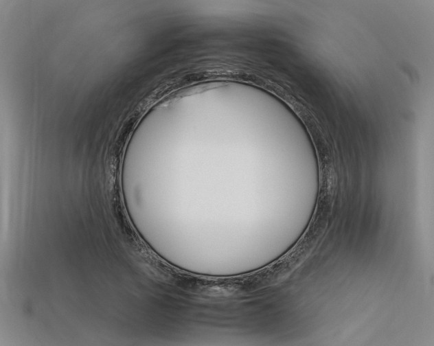 X0000113560737200909181020
