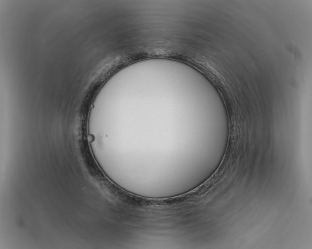 X0000113560738200909181020