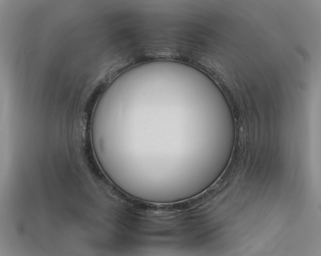 X0000113560739200909181020