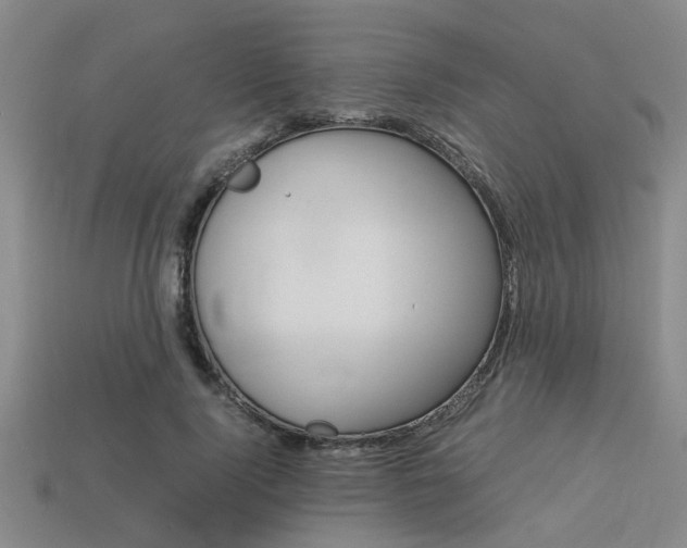 X0000113560740200909181020