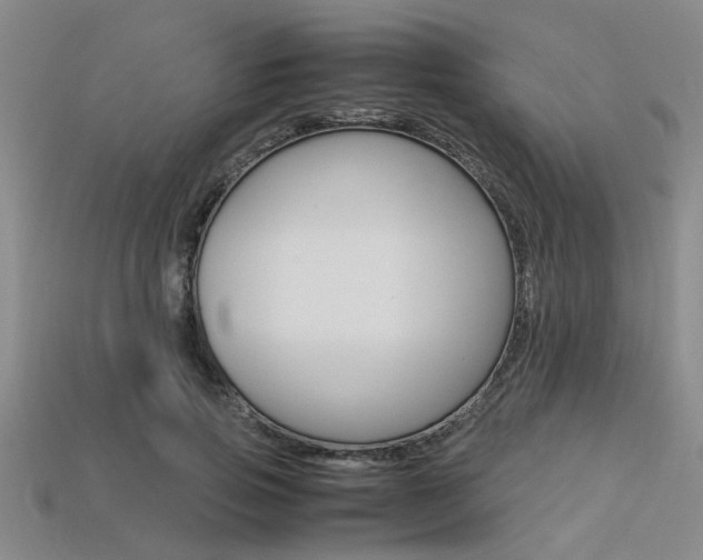 X0000113560741200909181020
