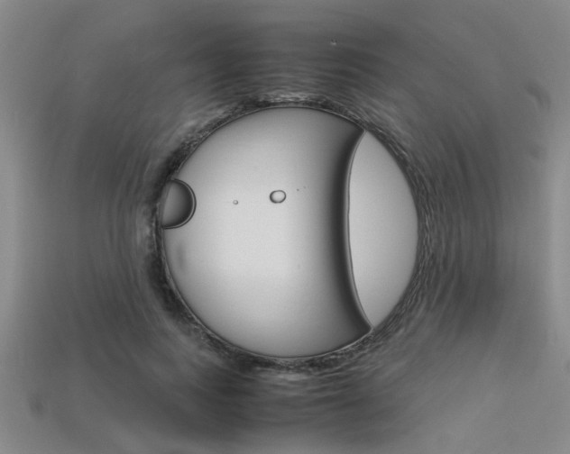 X0000113560743200909181020