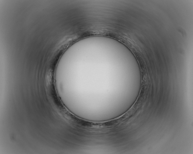X0000113560744200909181020