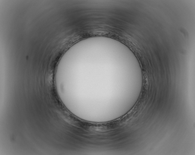 X0000113560745200909181020