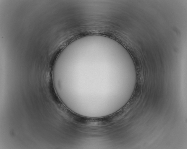 X0000113560746200909181020