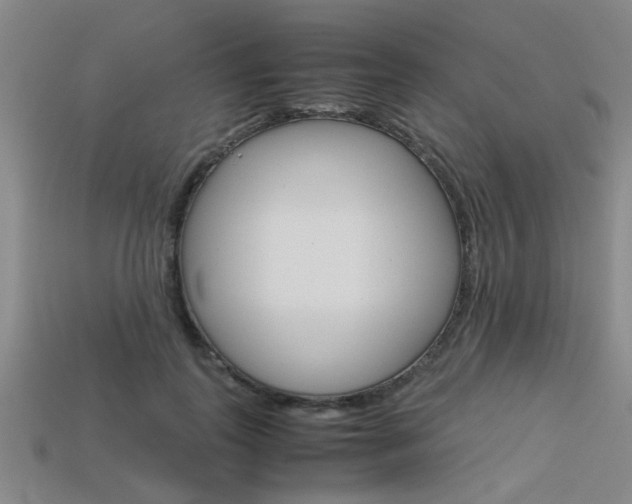 X0000113560747200909181020