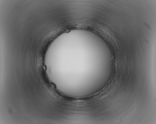 X0000113560748200909181020