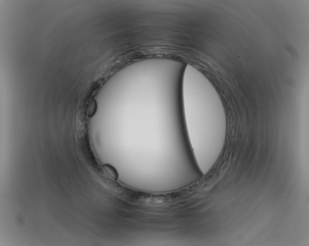 X0000113560751200909181020