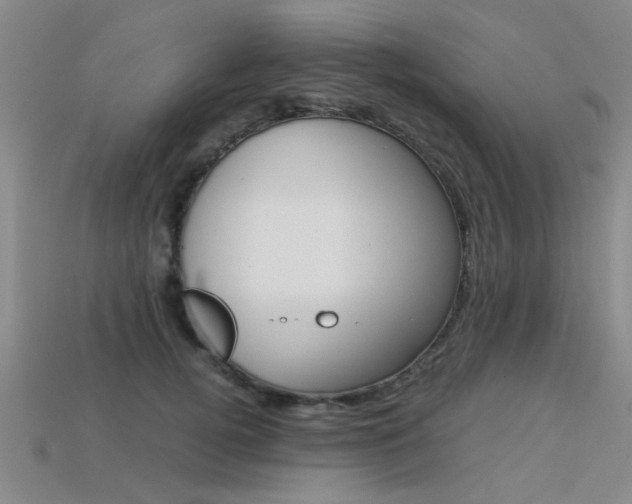 X0000113560752200909181020