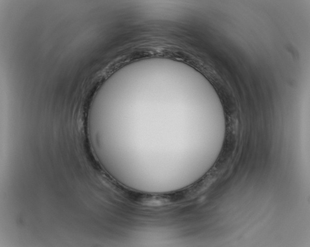 X0000113560754200909181020