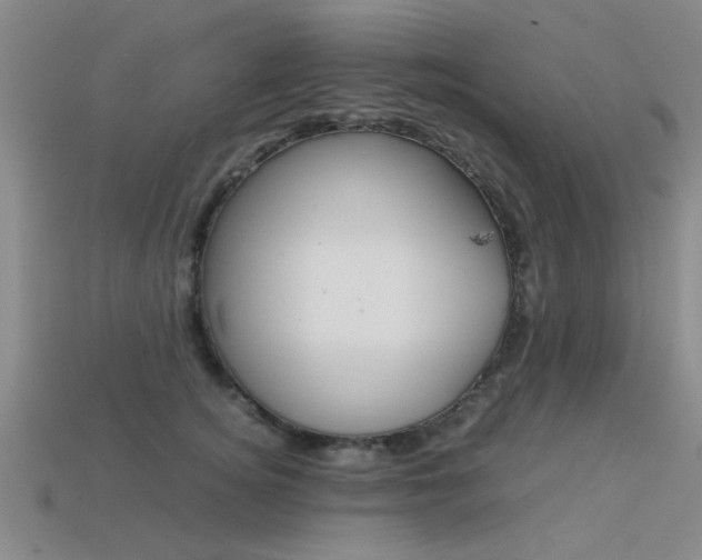X0000113560756200909181020