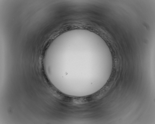 X0000113560757200909181020