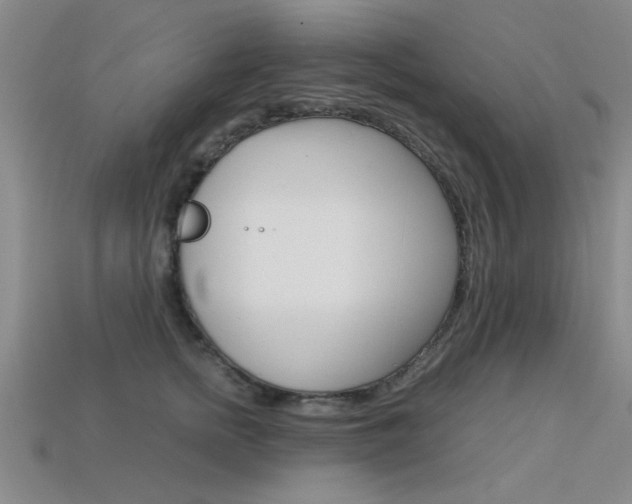 X0000113560758200909181020