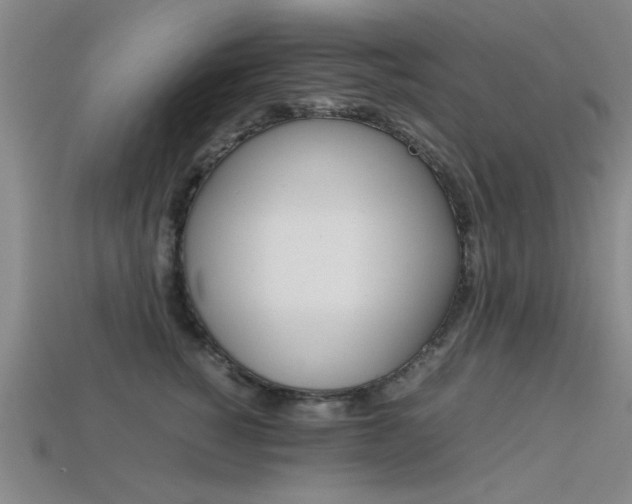 X0000113560760200909181020