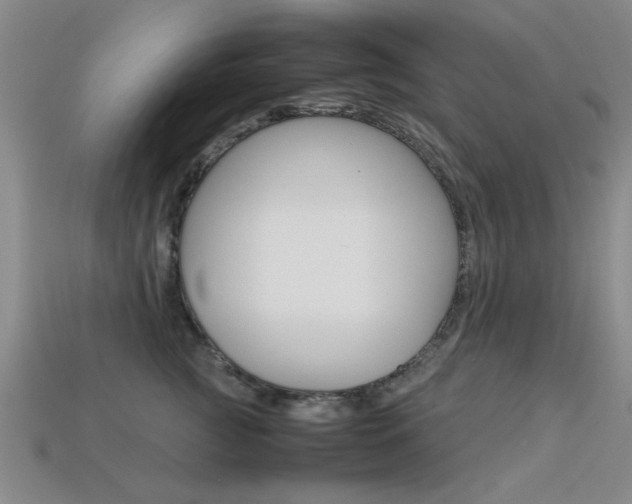 X0000113560761200909181020