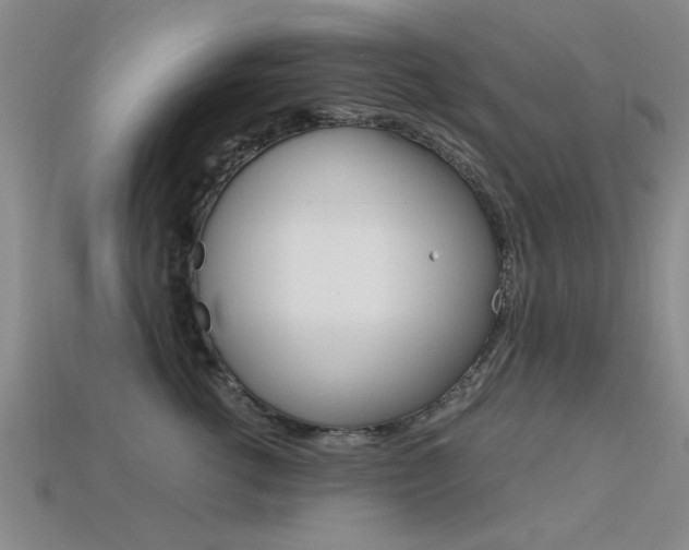 X0000113560762200909181021