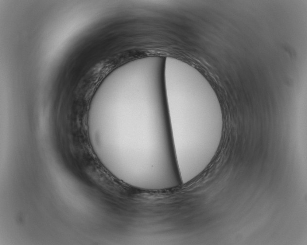 X0000113560763200909181021