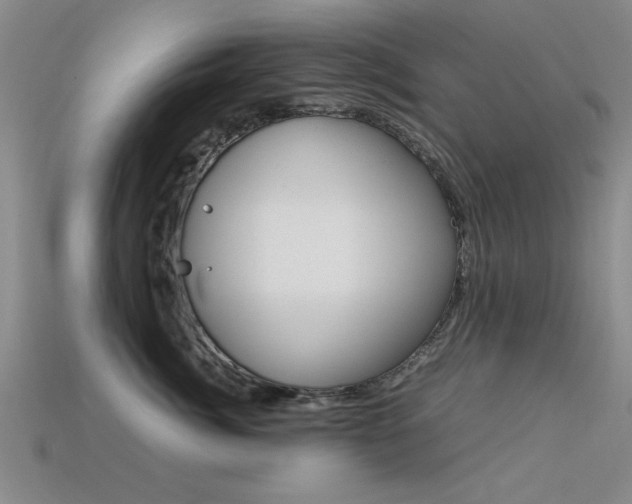 X0000113560764200909181021