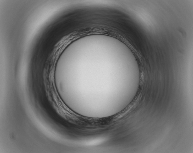 X0000113560765200909181021