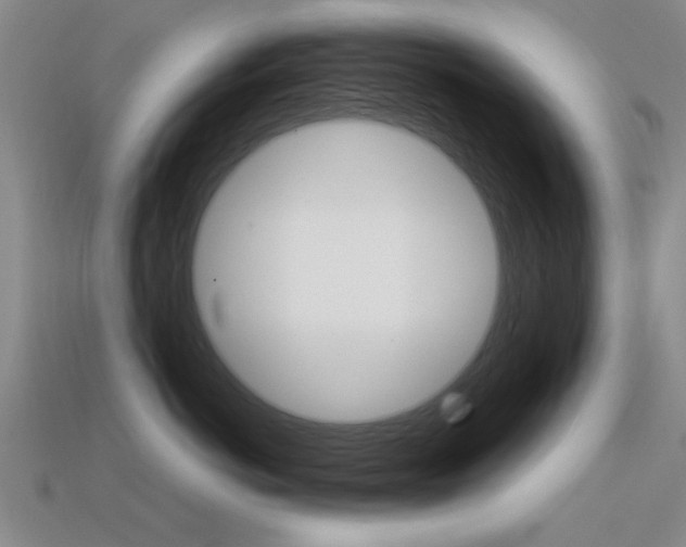 X0000113560766200909181021