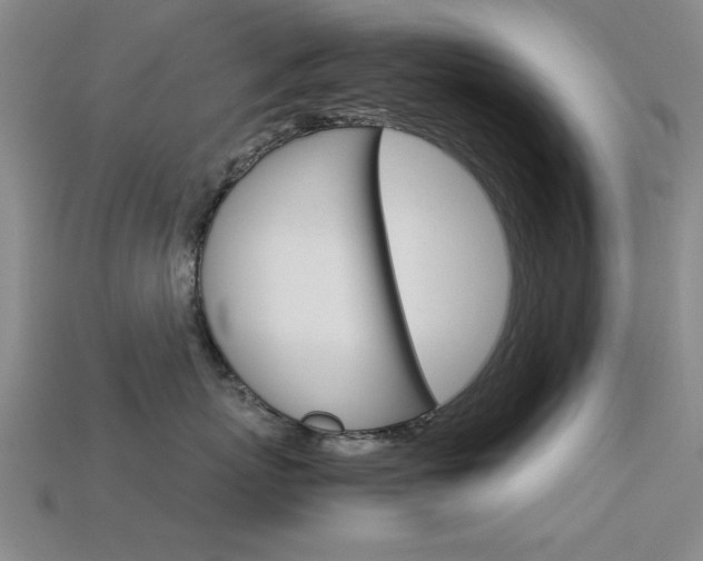 X0000113560767200909181021