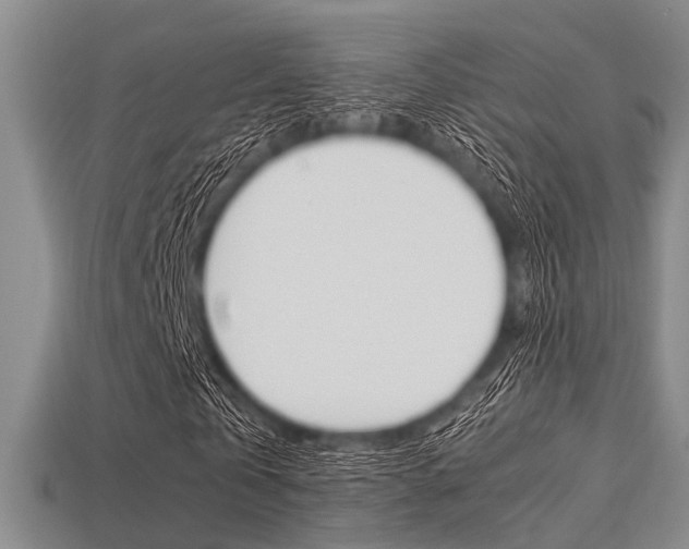 X0000113560769200909181020
