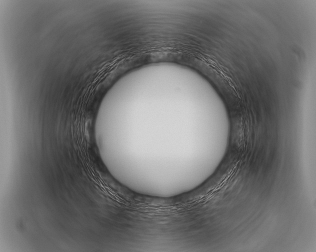 X0000113560770200909181020