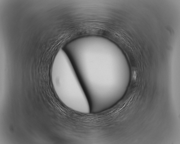X0000113560771200909181020