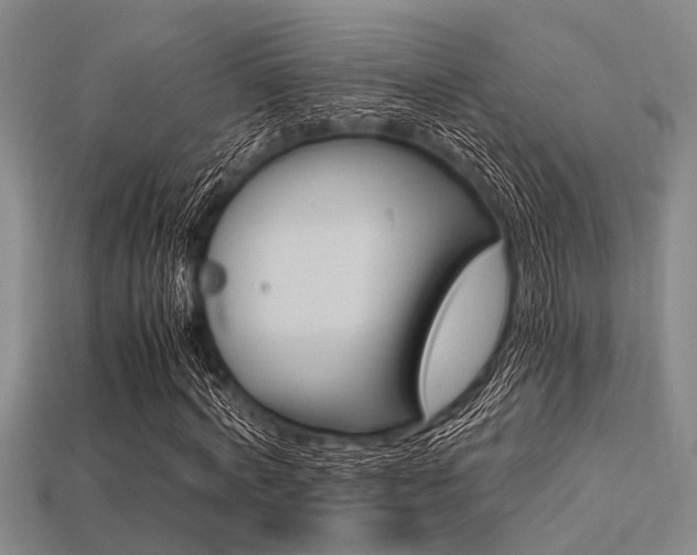 X0000113560772200909181020