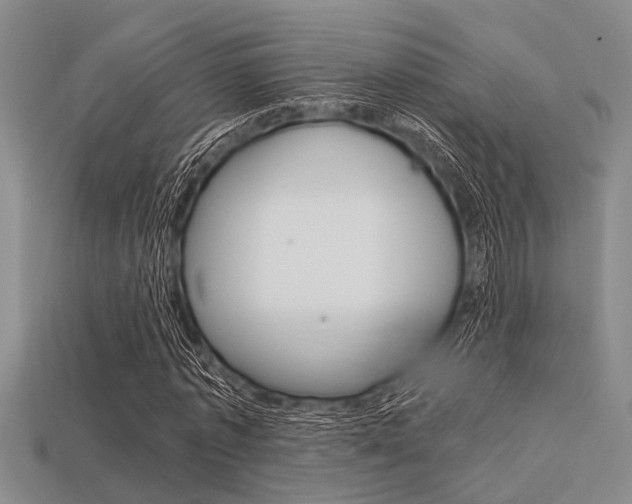 X0000113560773200909181020