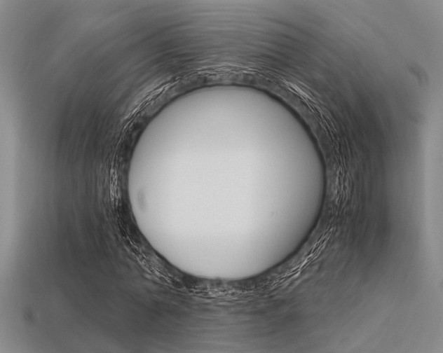 X0000113560774200909181020