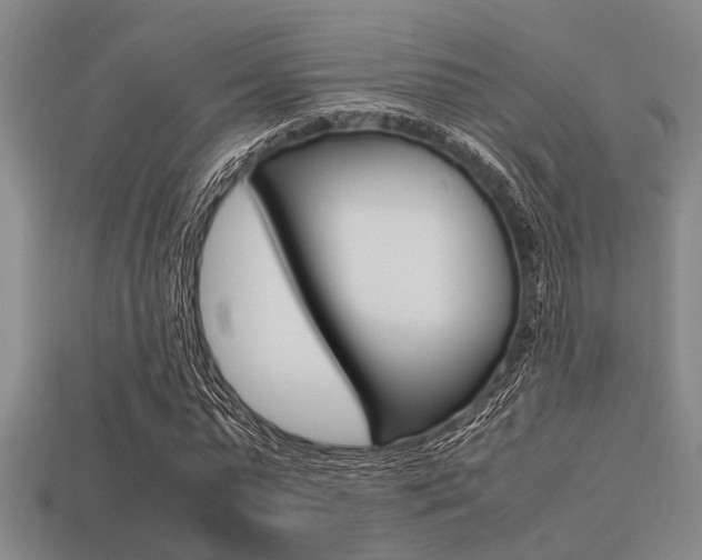 X0000113560775200909181020
