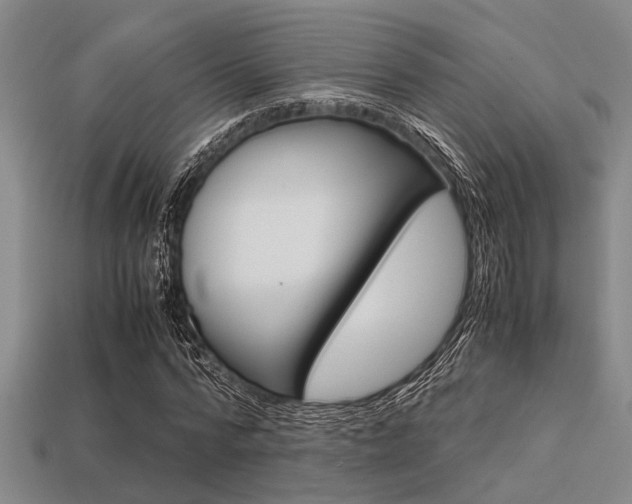 X0000113560776200909181020