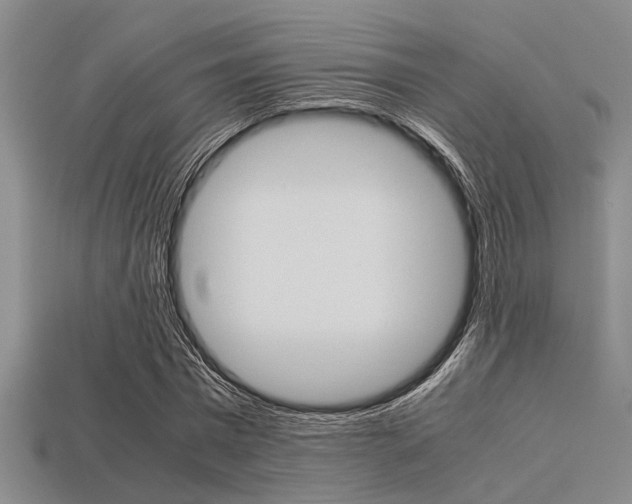 X0000113560777200909181020