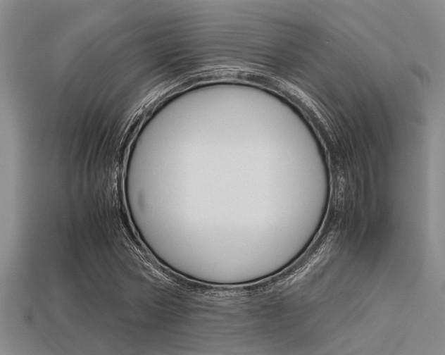X0000113560778200909181020