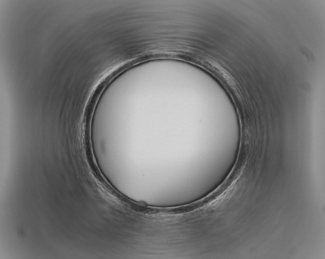 X0000113560779200909181020