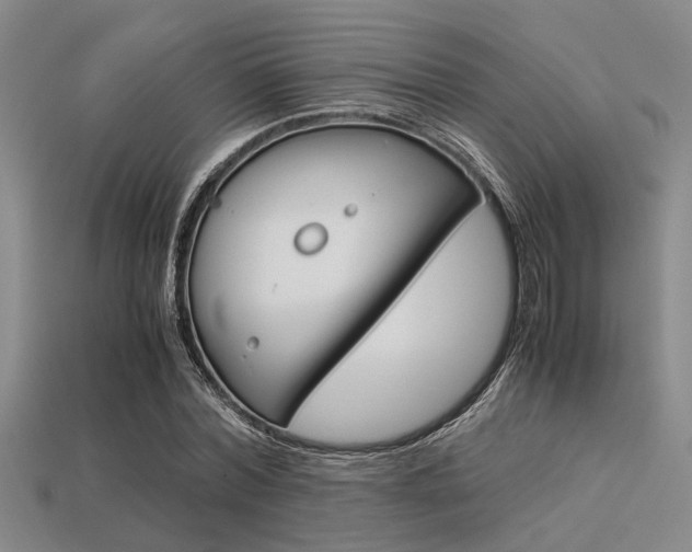 X0000113560780200909181020