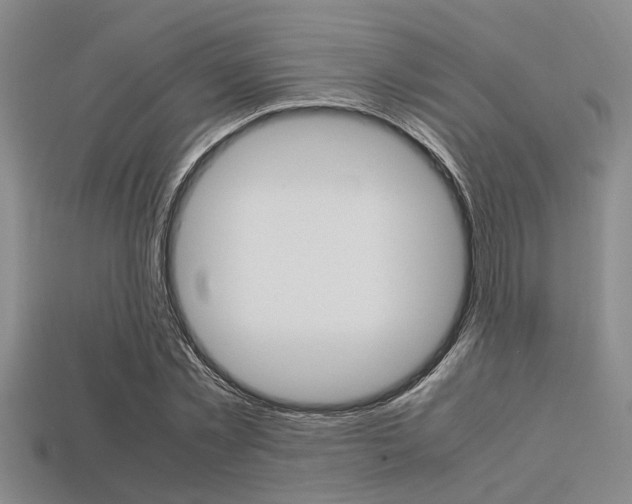 X0000113560781200909181020