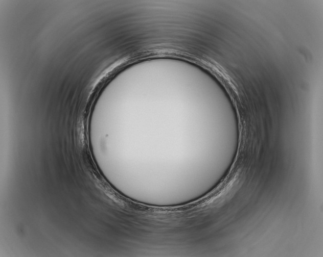 X0000113560782200909181020