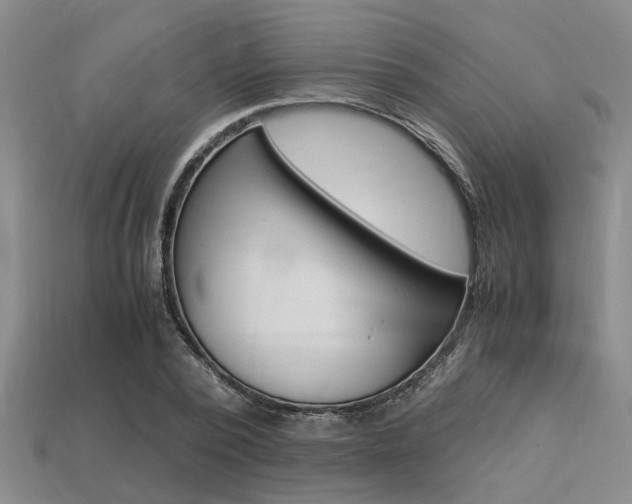 X0000113560784200909181020