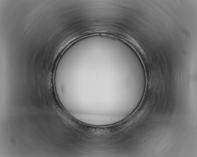 X0000113560786200909181020