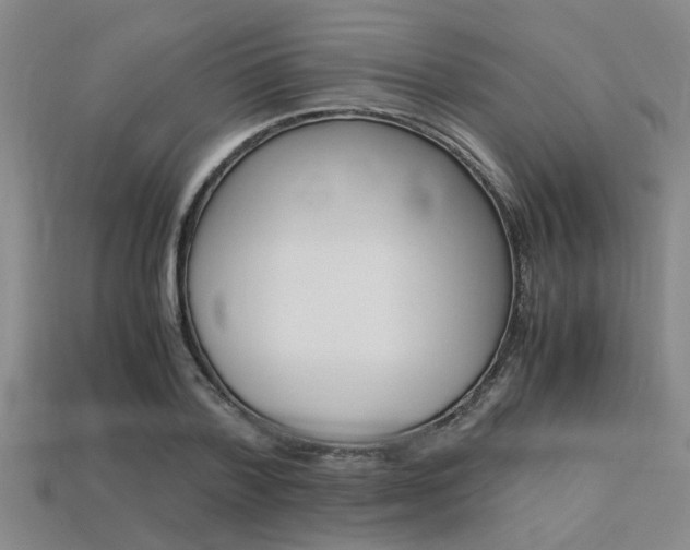 X0000113560788200909181020