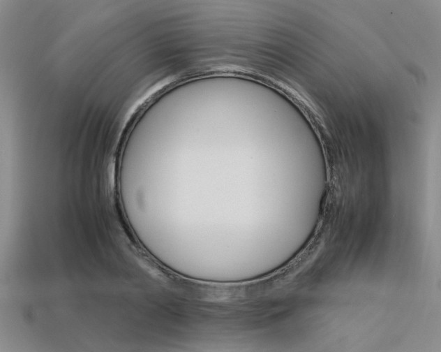 X0000113560790200909181020