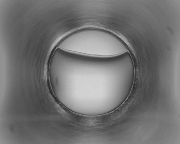 X0000113560791200909181020