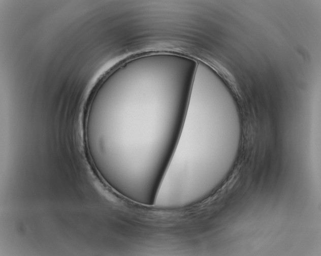 X0000113560792200909181020