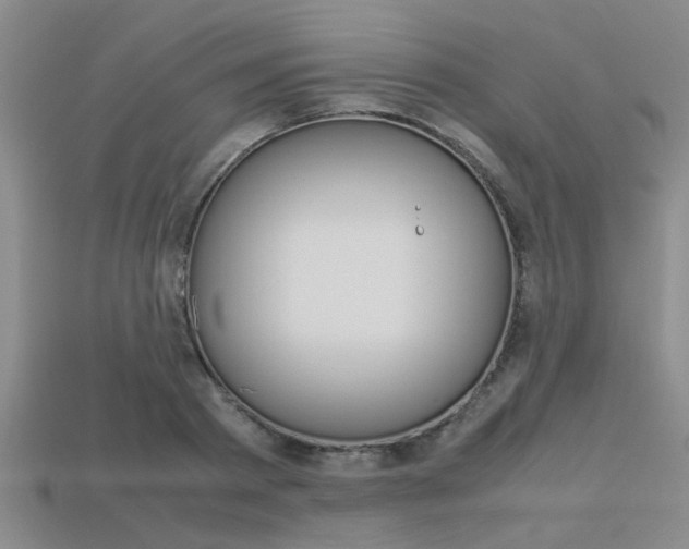 X0000113560793200909181020
